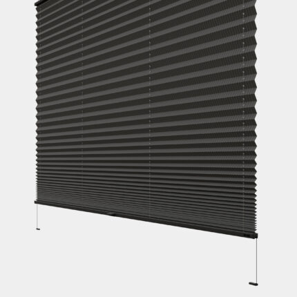 sydney stripes