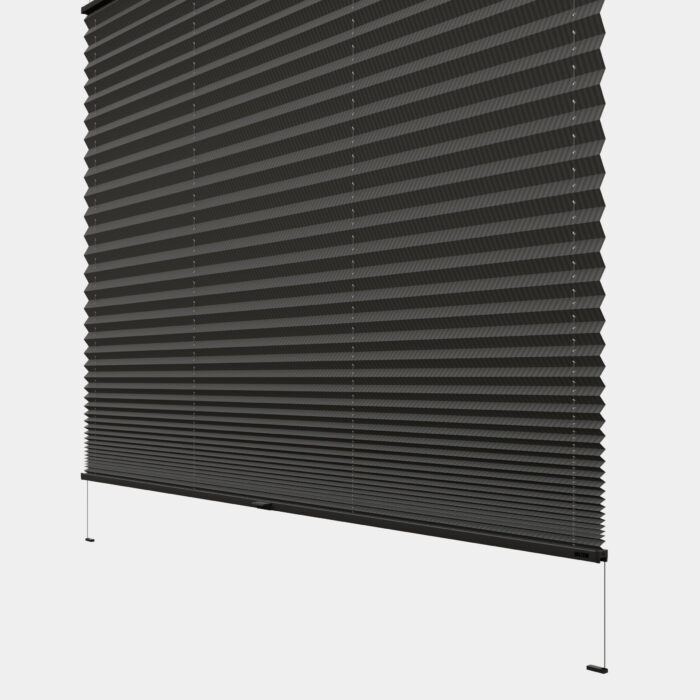 sydney stripes