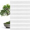 valtenn wabenplissee tokyo bo 7750 white transparent